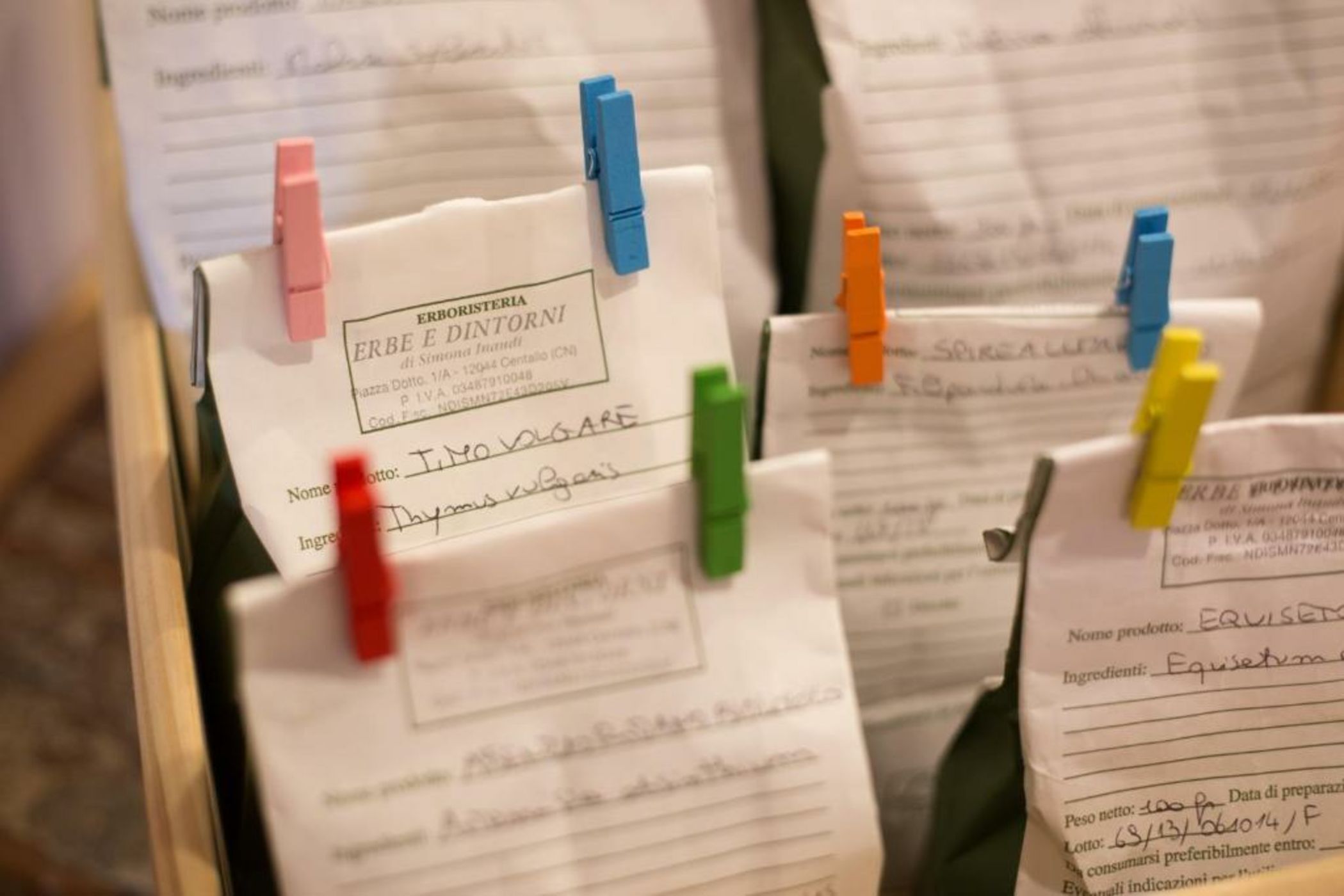 The Bellini House by House In Naples