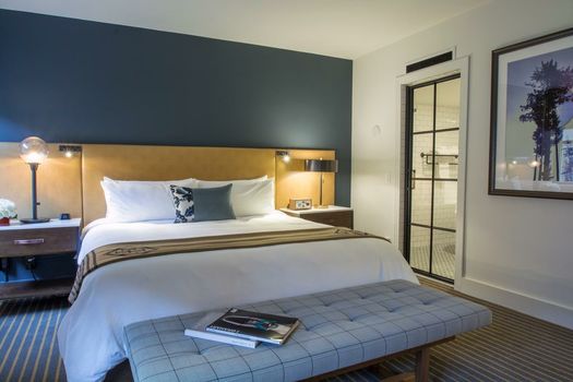 Hotel Theodore