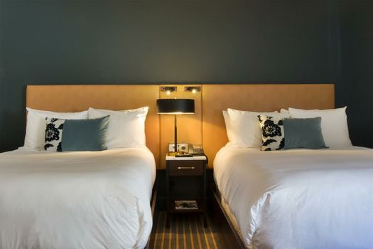 Hotel Theodore