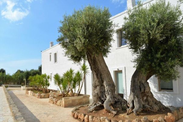 Masseria Torrepietra