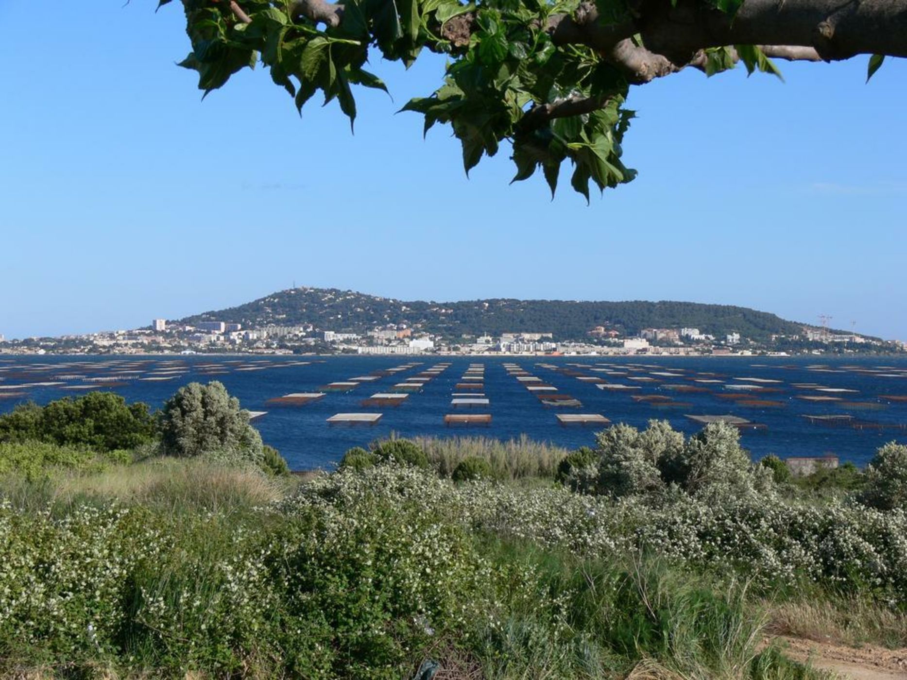 Hôtel L'orque Bleue