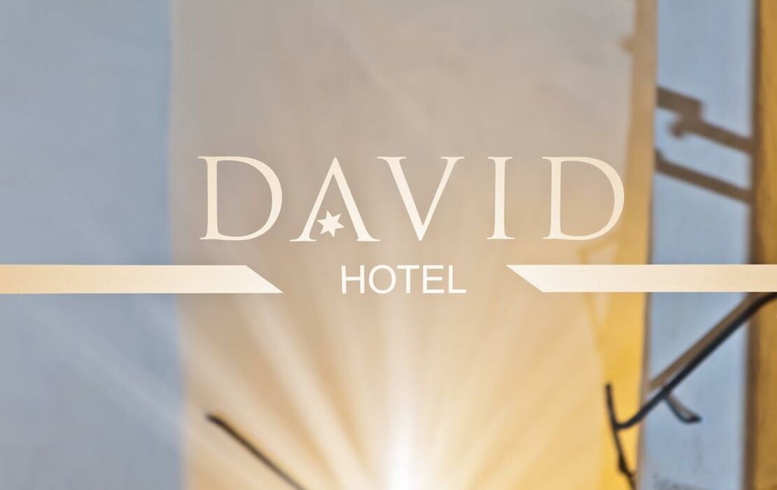 Hotel David an der Donau