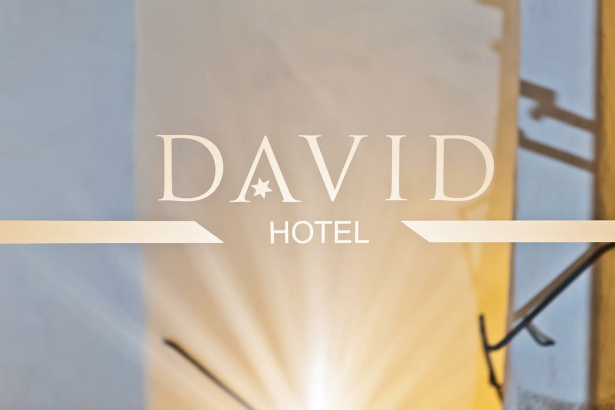 Hotel David an der Donau