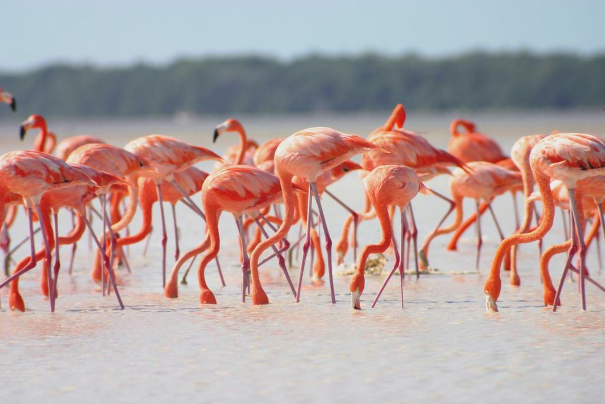 Xixim Unique Mayan Hotel