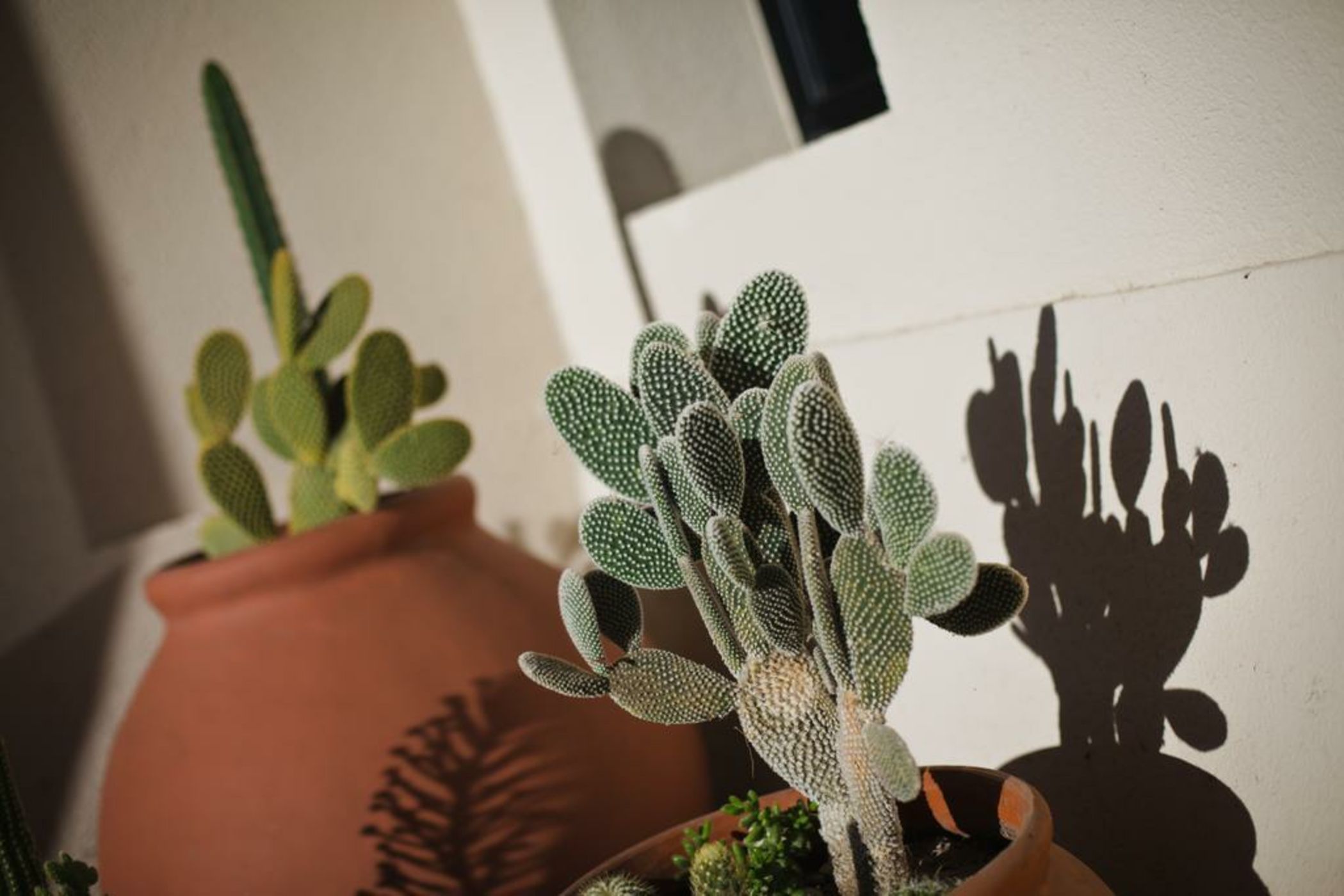 La Morada Guesthouse