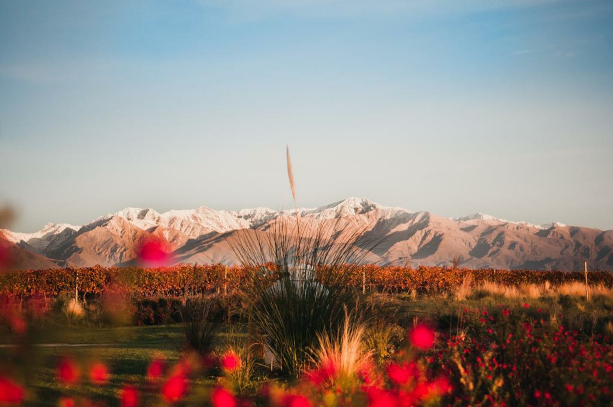 La Morada Guesthouse