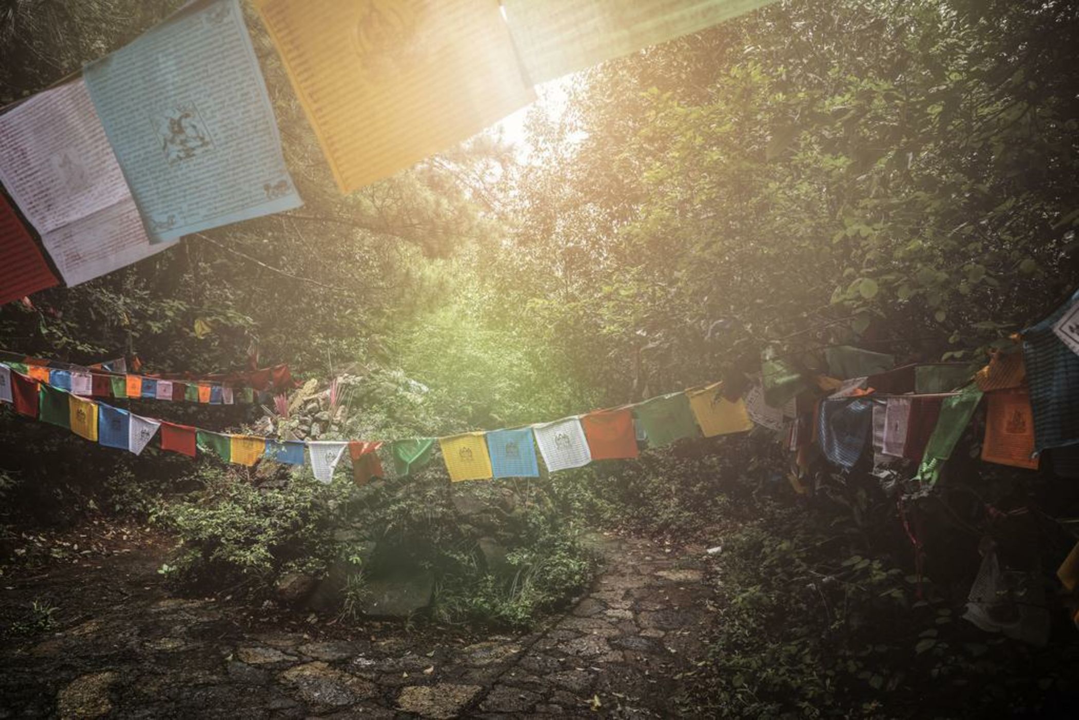 Lijiang Tsingpu Baisha Retreat