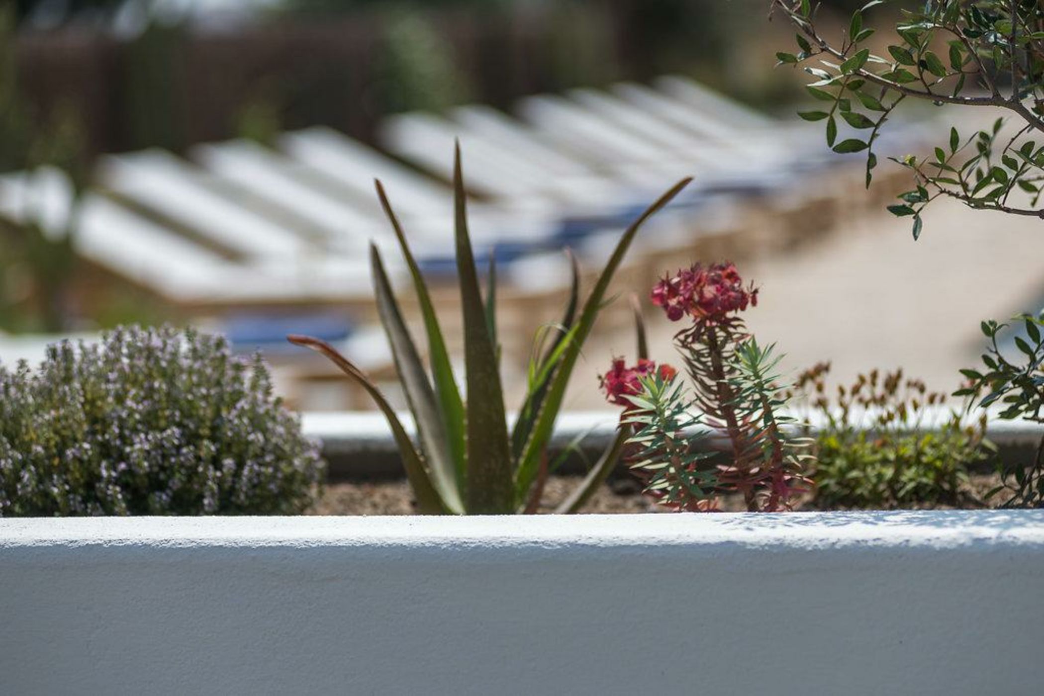 Boutique Hotel Villa Gala