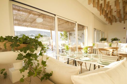 Aelia Wellness Retreat