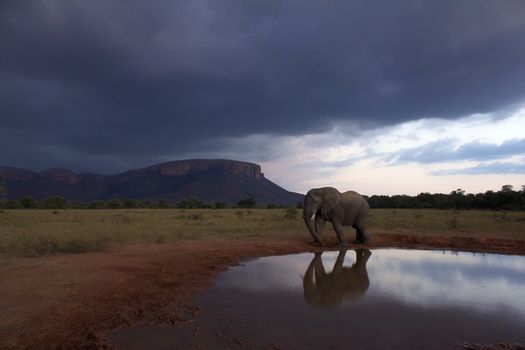Marataba Safari Lodge