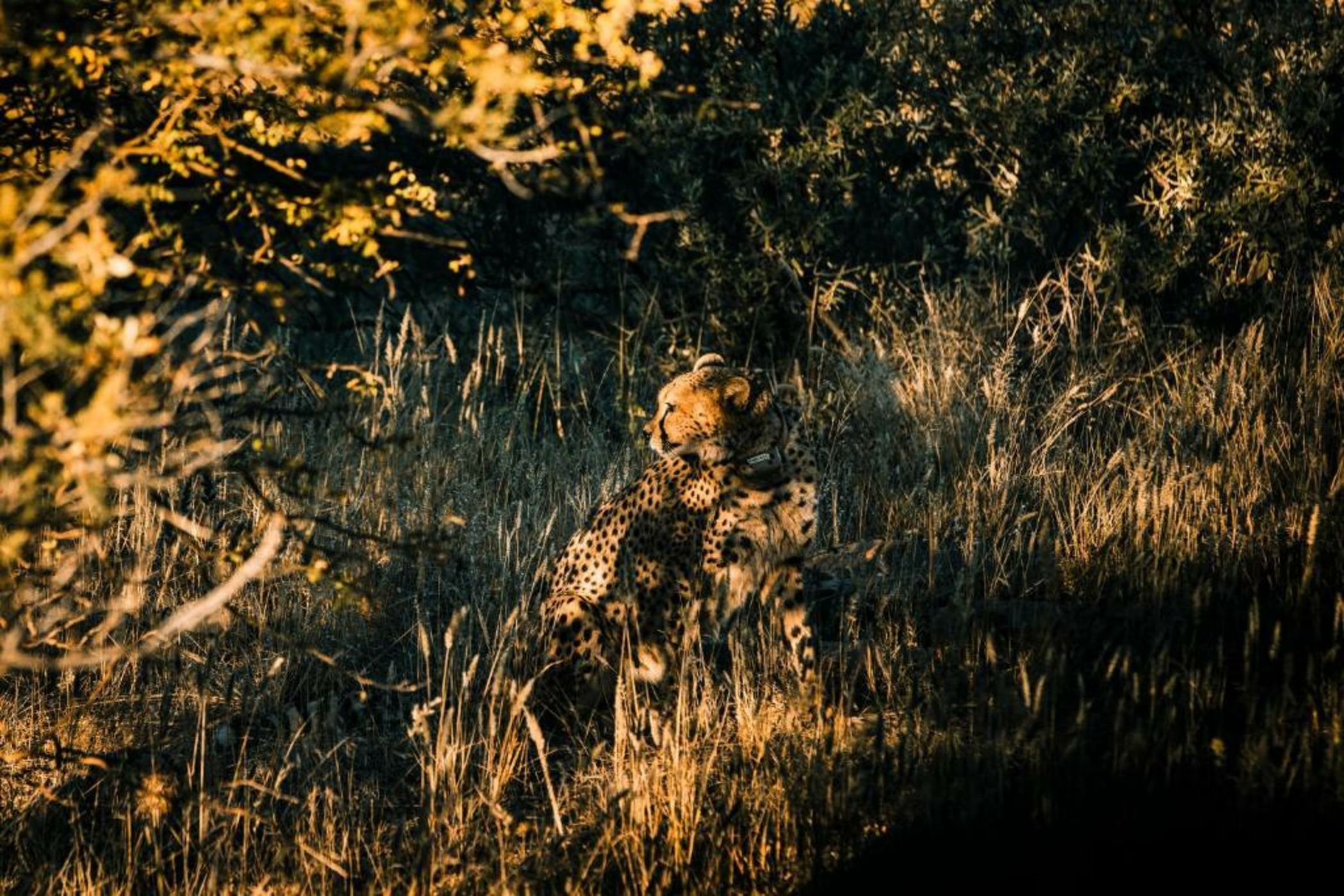 Zannier Hotels Omaanda