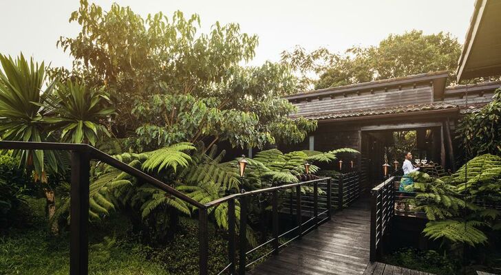 One&Only Nyungwe House