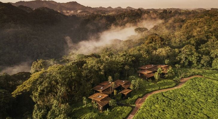 One&Only Nyungwe House