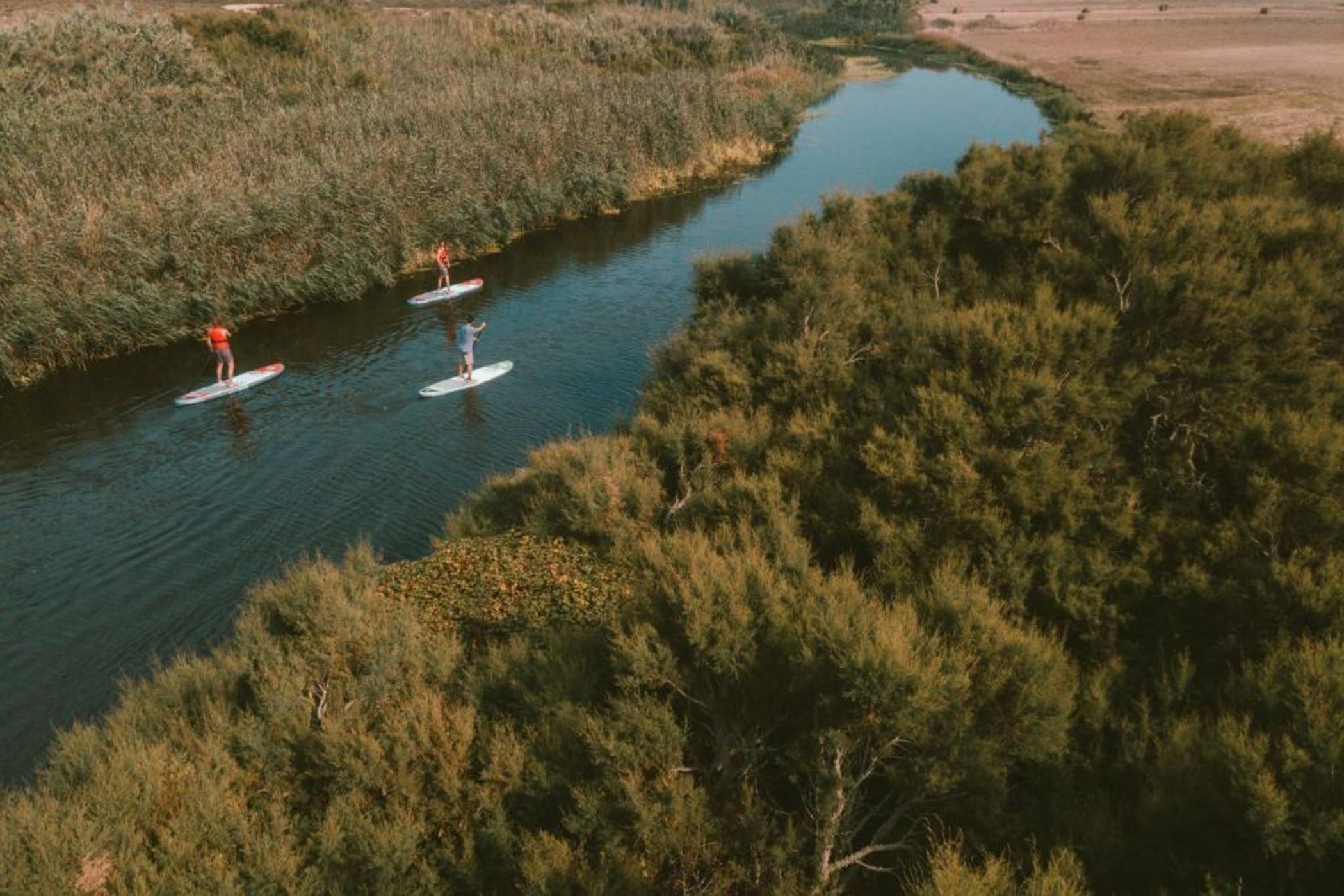 Noah Surf House Portugal