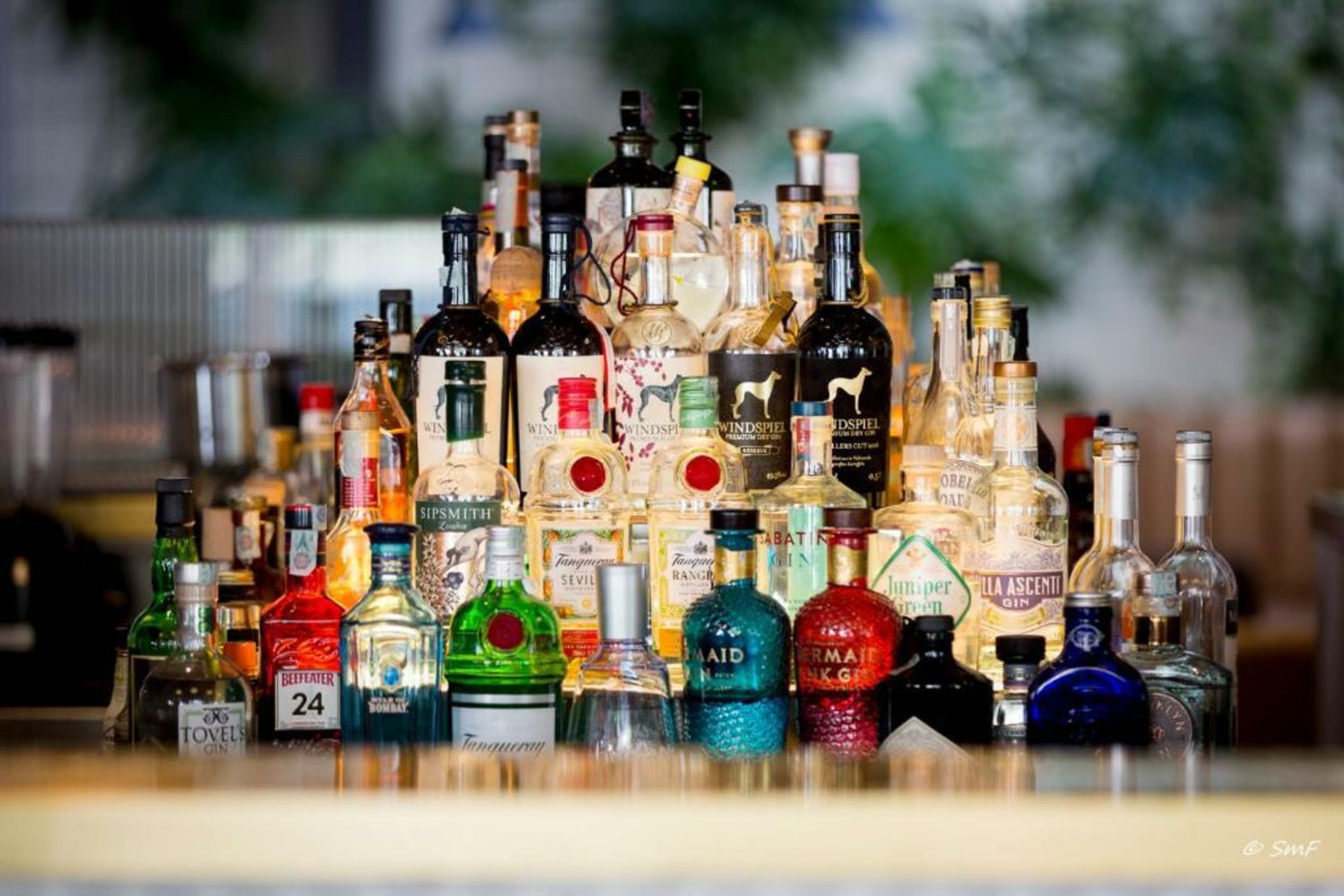 The Box Riccione - Adults Only