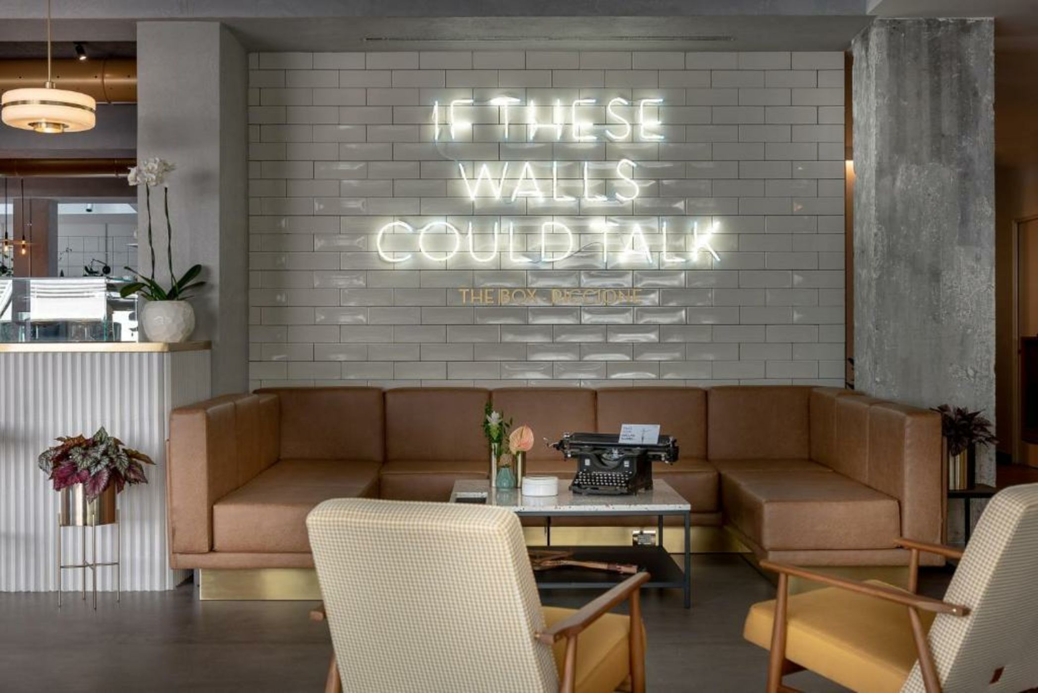 The Box Riccione - Adults Only