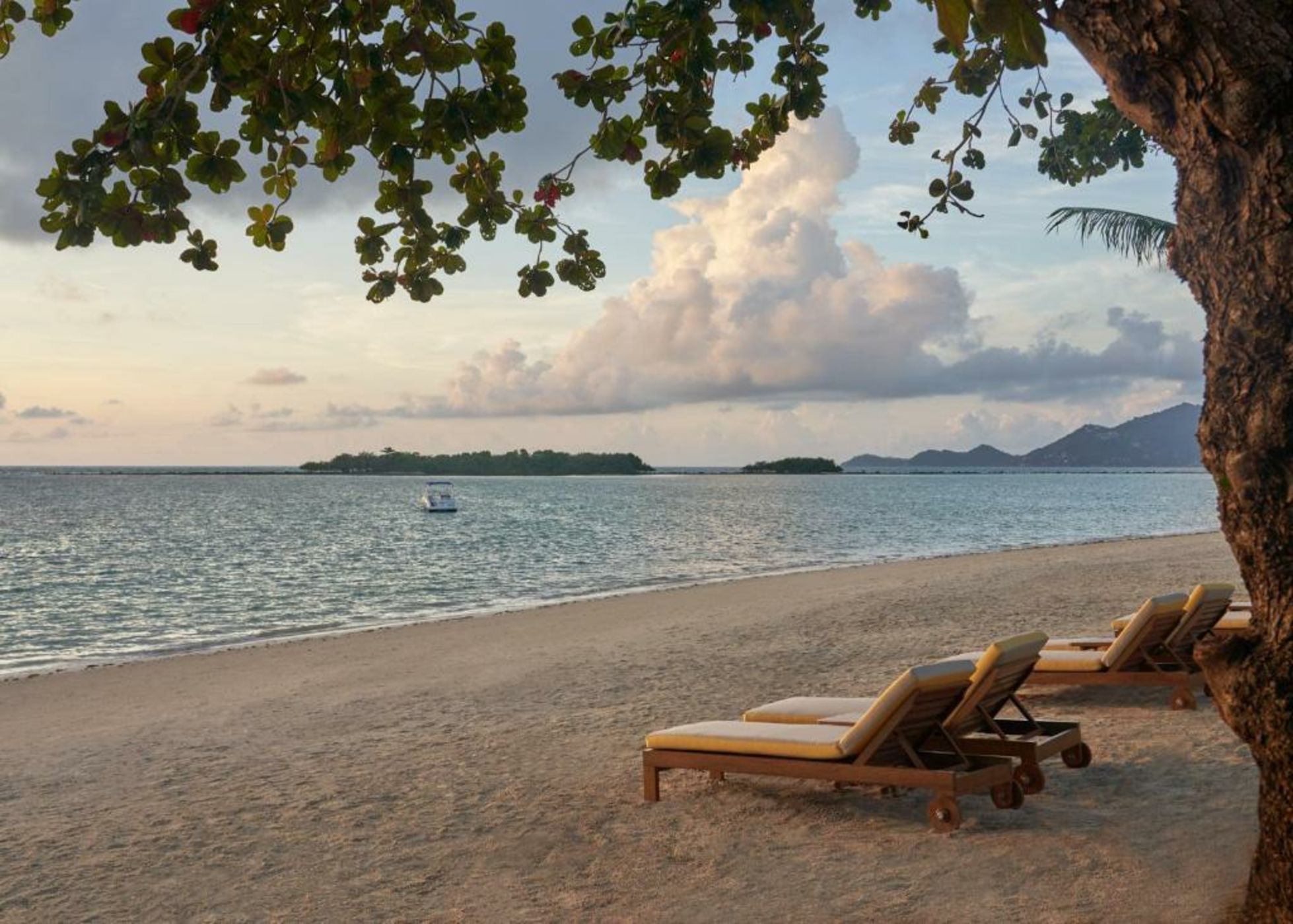 SALA Samui Chaweng Beach Resort - SHA Plus