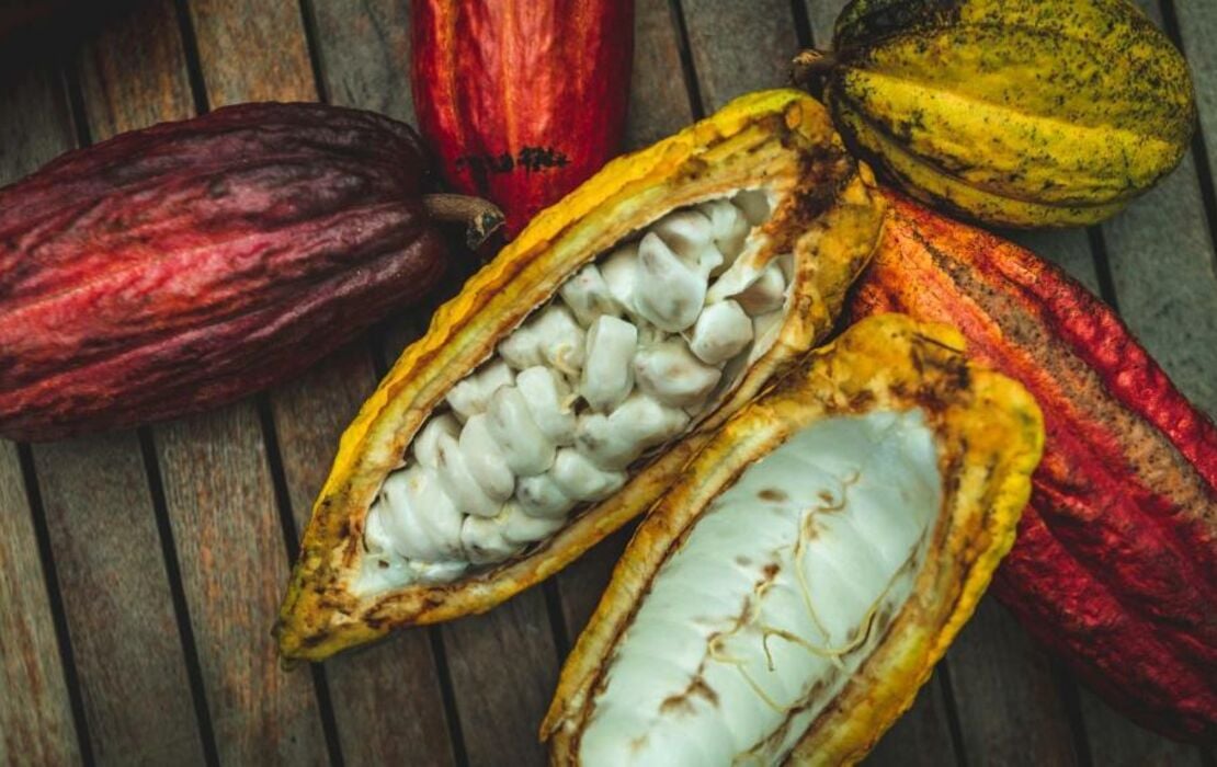 Hotel Chocolat St Lucia Up to 10 OFF Deals