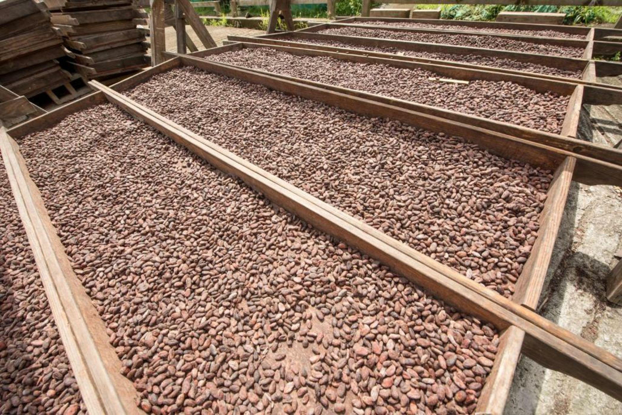 Rabot Hotel From Hotel Chocolat