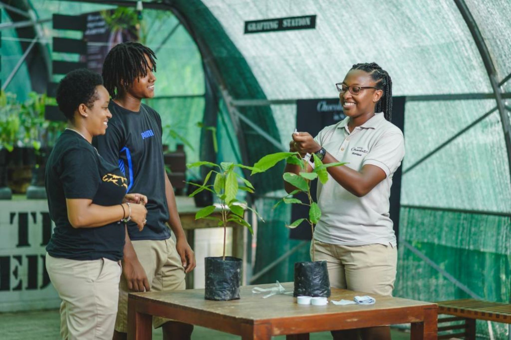 Rabot Hotel From Hotel Chocolat
