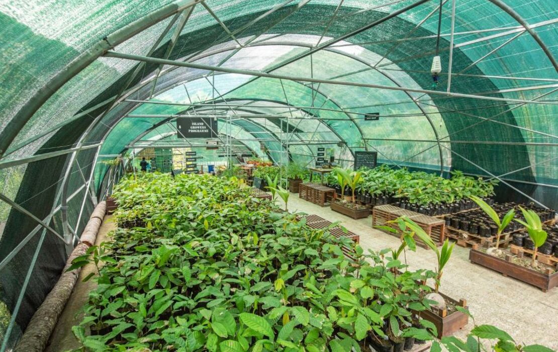 Hotel Chocolat St Lucia Up to 10 OFF Deals