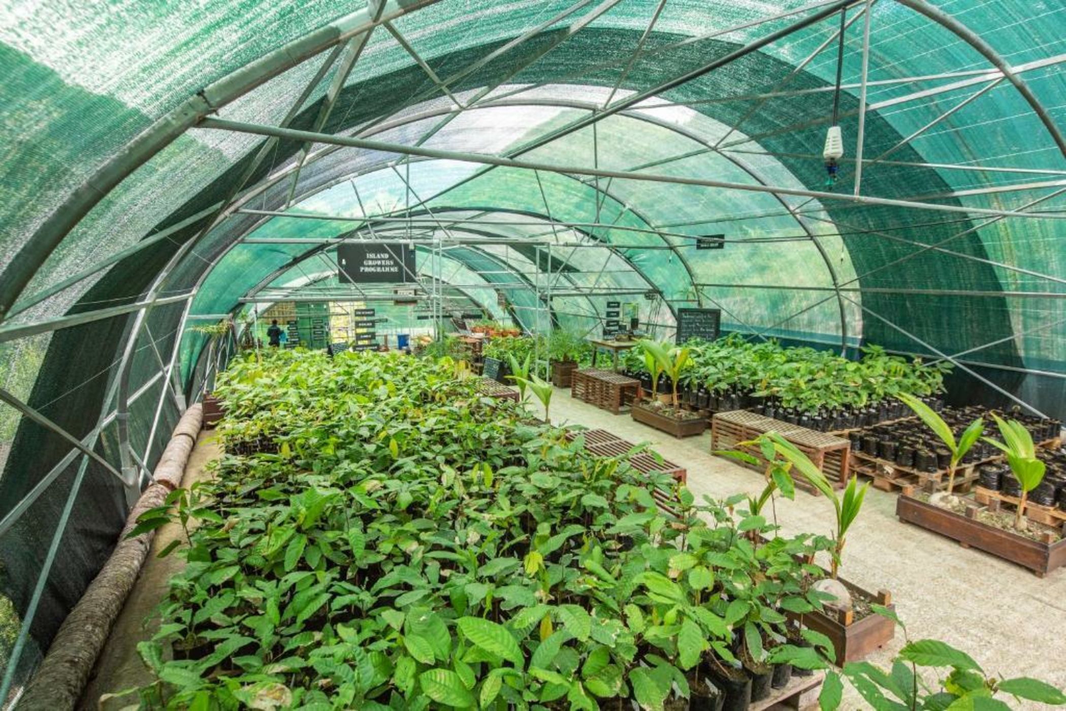 Rabot Hotel From Hotel Chocolat