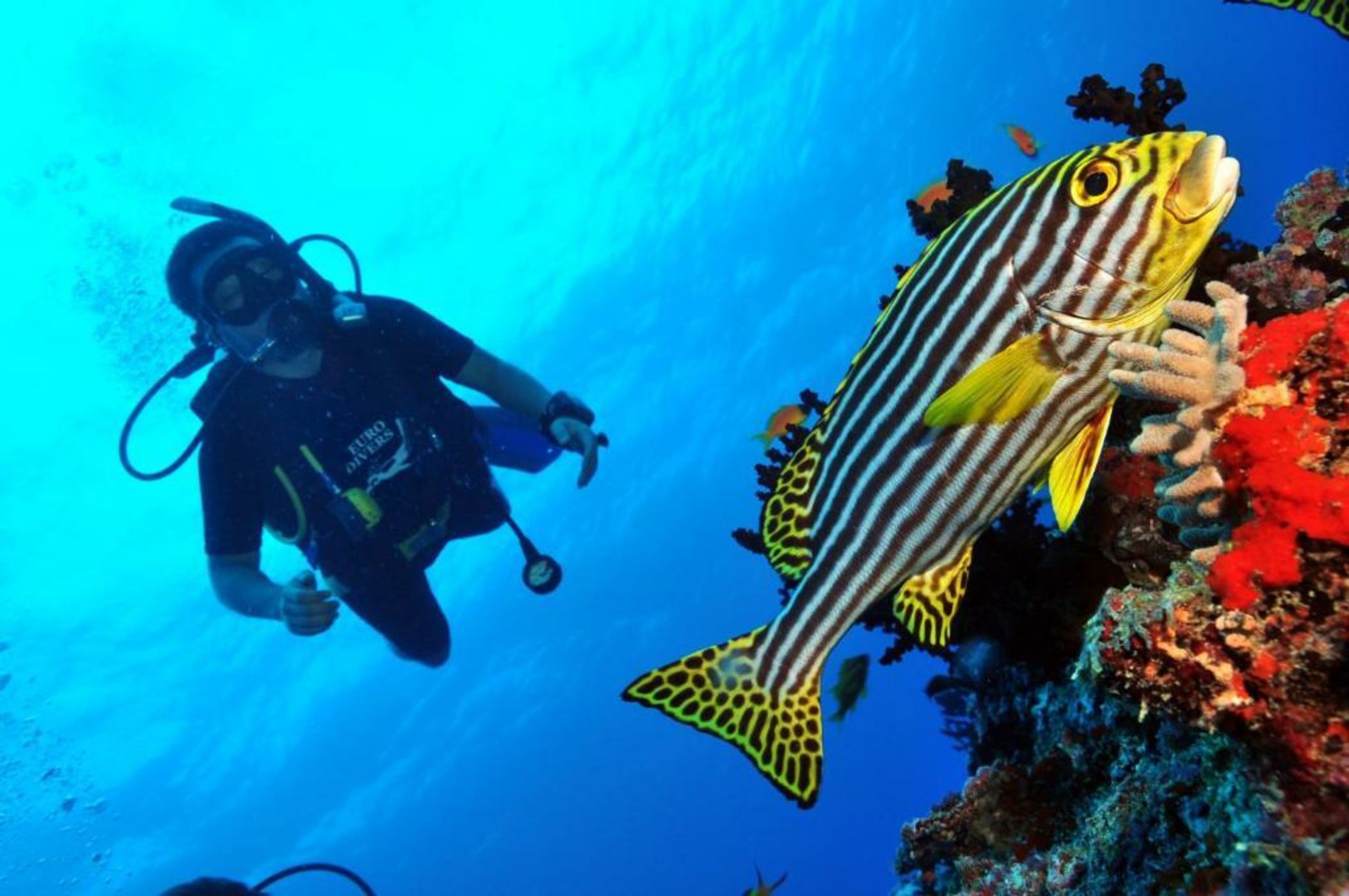 Dhigali Maldives - A Premium All-Inclusive Resort