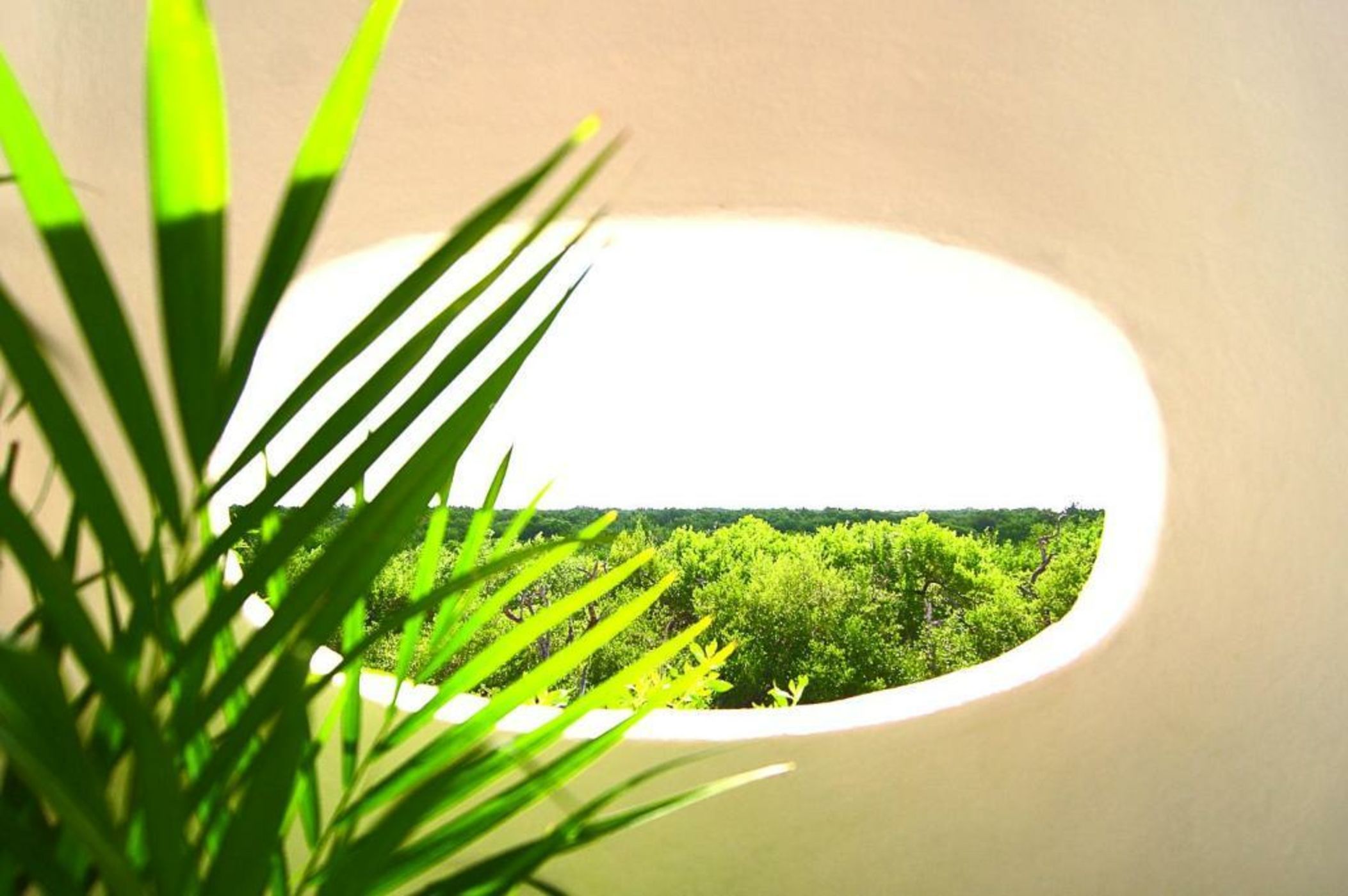 Hotel Villas Flamingos