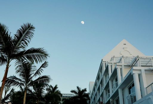 Palm Heights