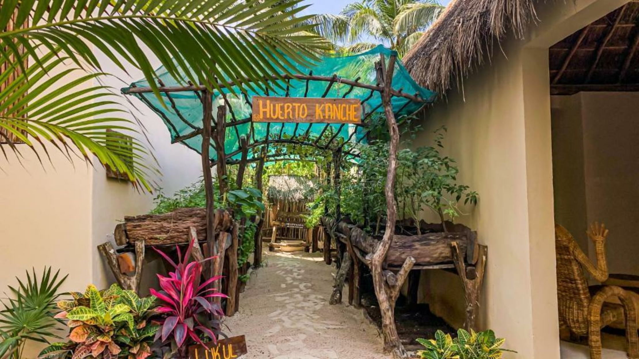 Dune Boutique Hotel located at the party zone