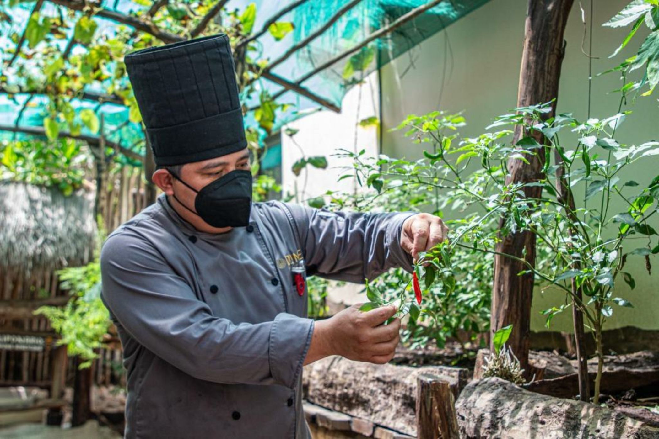 Dune Boutique Hotel located at the party zone