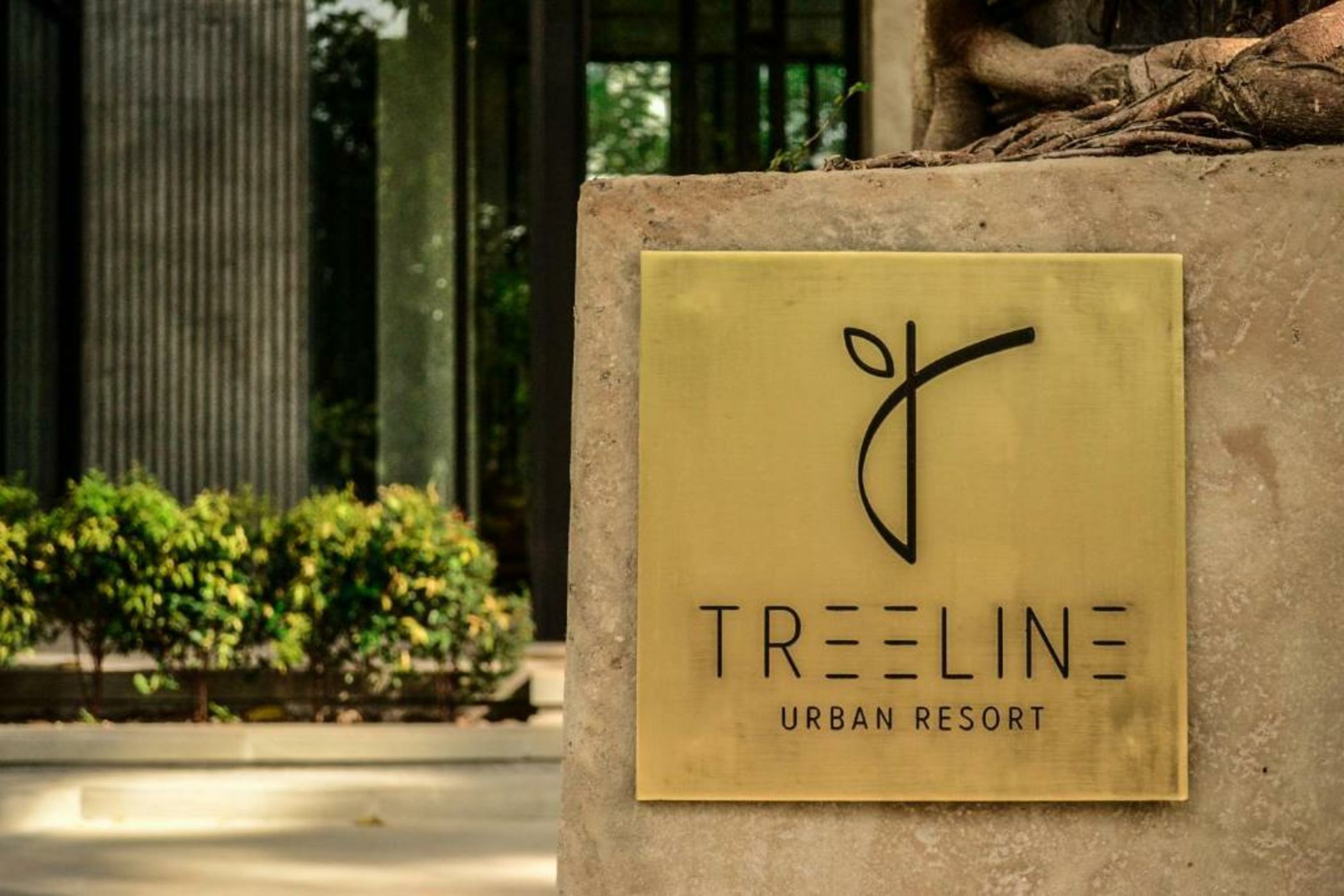 Treeline Urban Resort