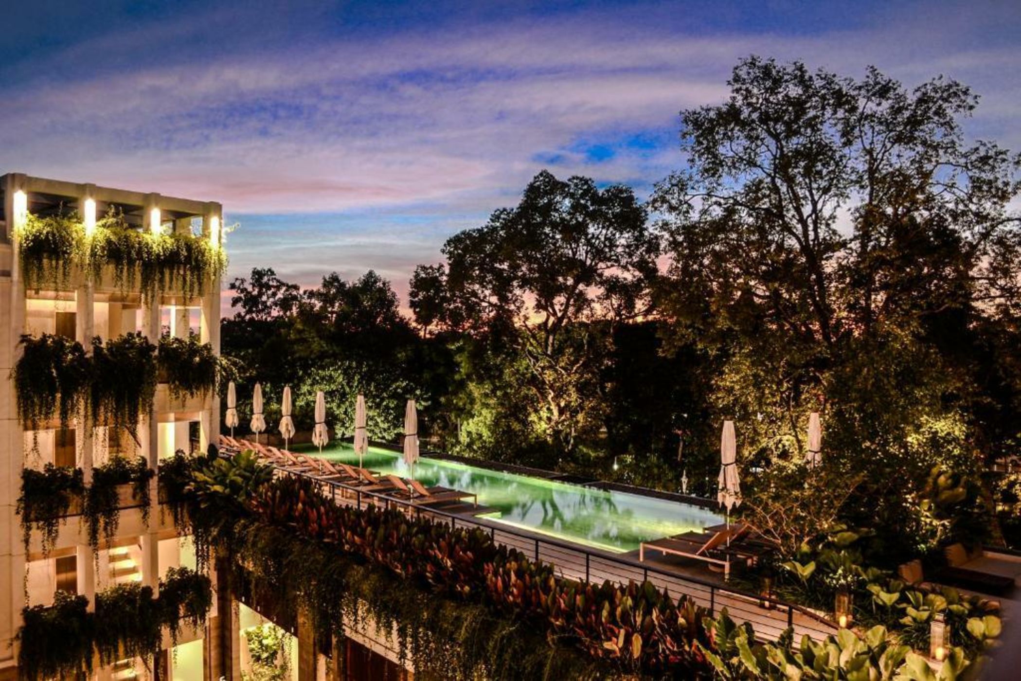 Treeline Urban Resort