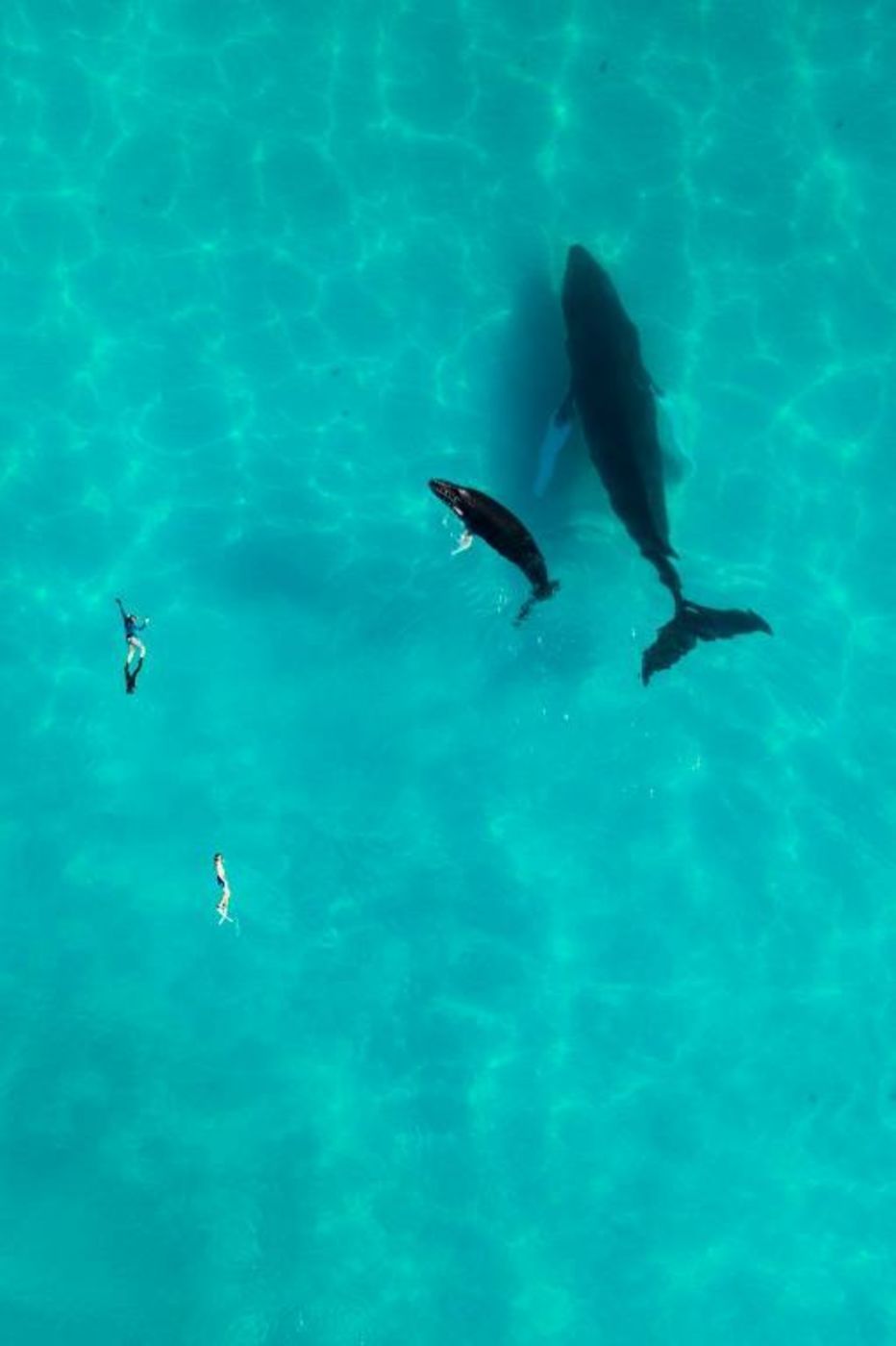 Ambergris Cay Private Island All Inclusive