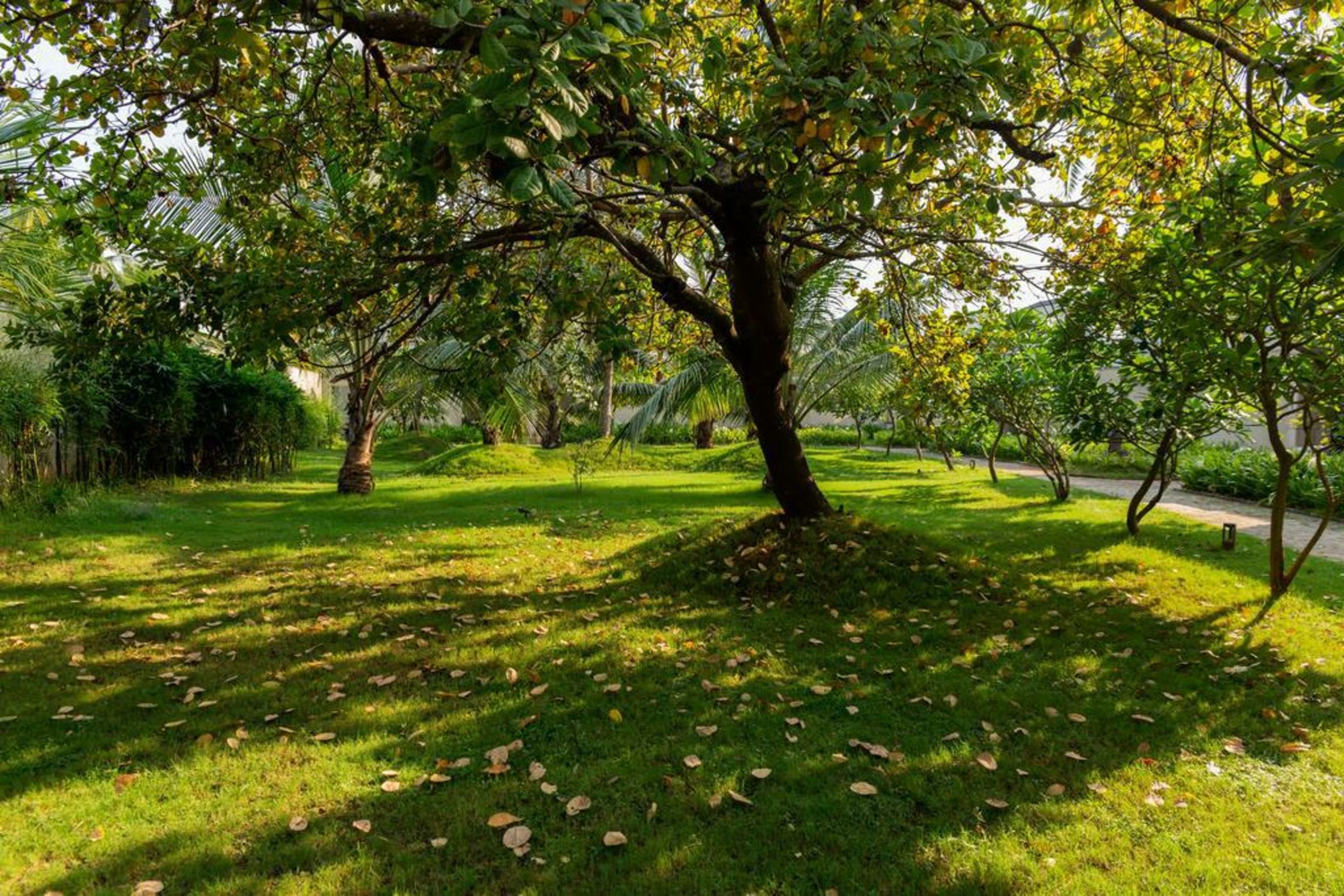 Bella Antlia by Vista Rooms