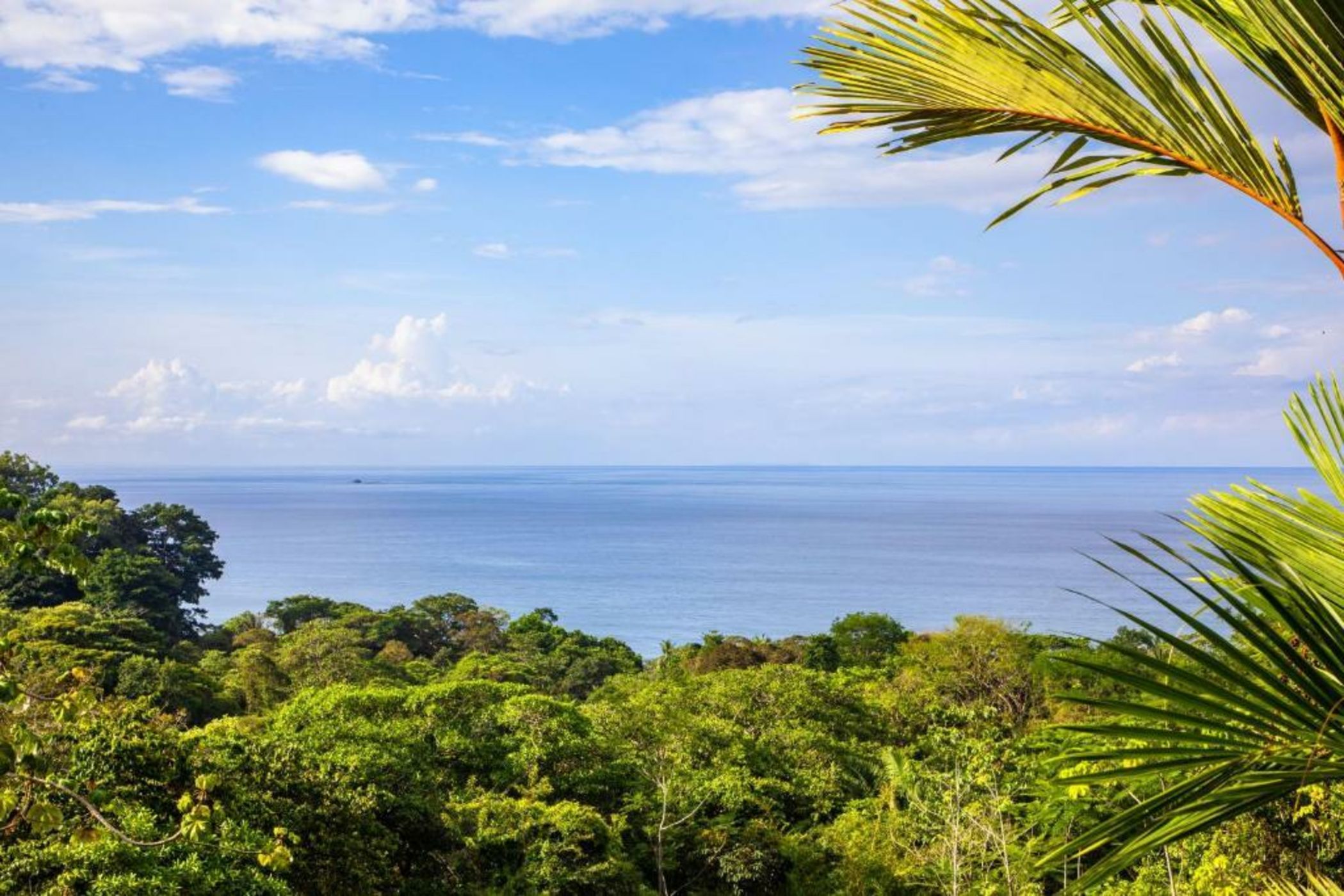 Tiki Villas Rainforest Lodge - Adults Only