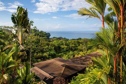 Tiki Villas Rainforest Lodge - Adults Only