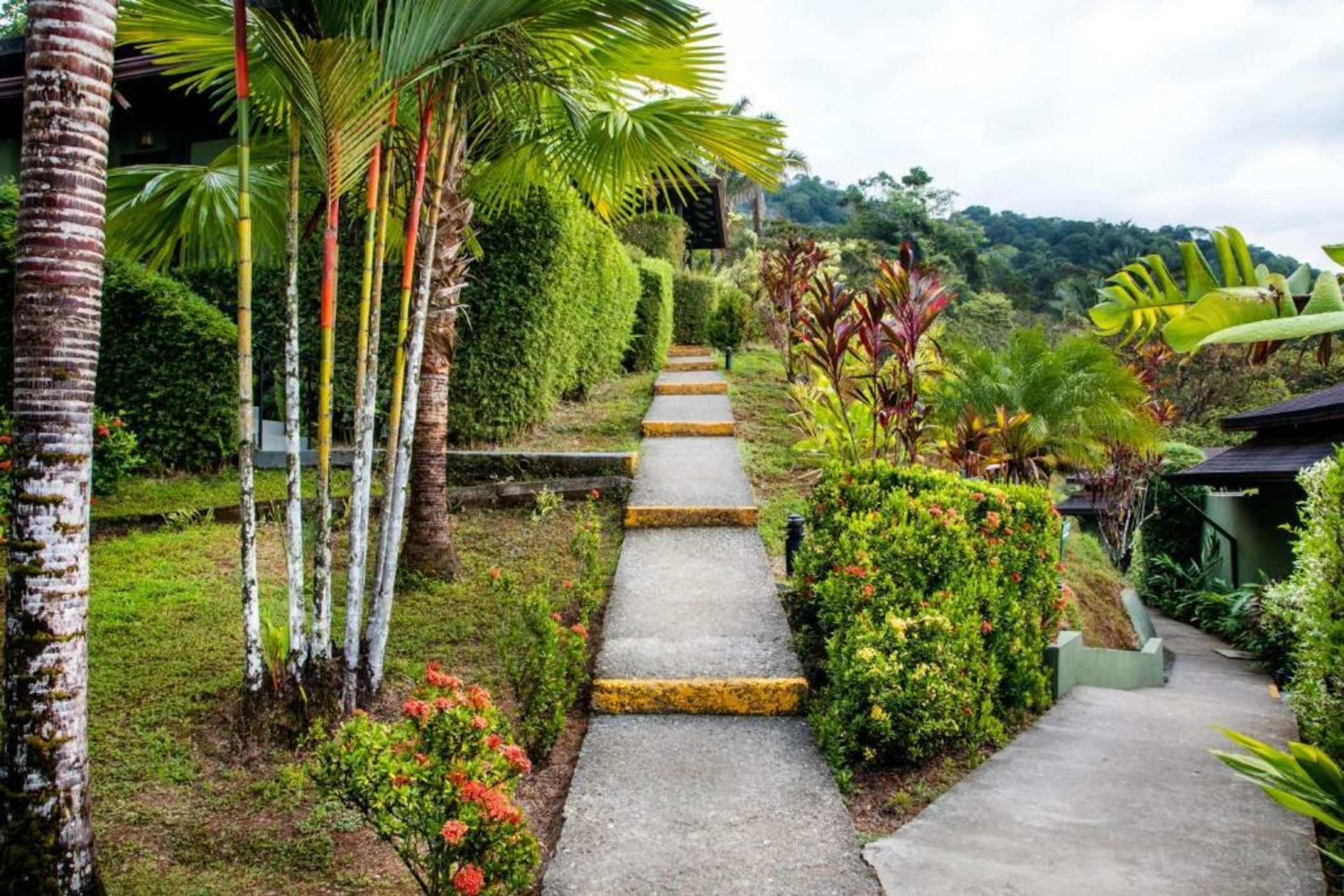 Tiki Villas Rainforest Lodge - Adults Only