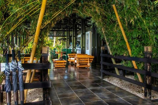 Tiki Villas Rainforest Lodge - Adults Only