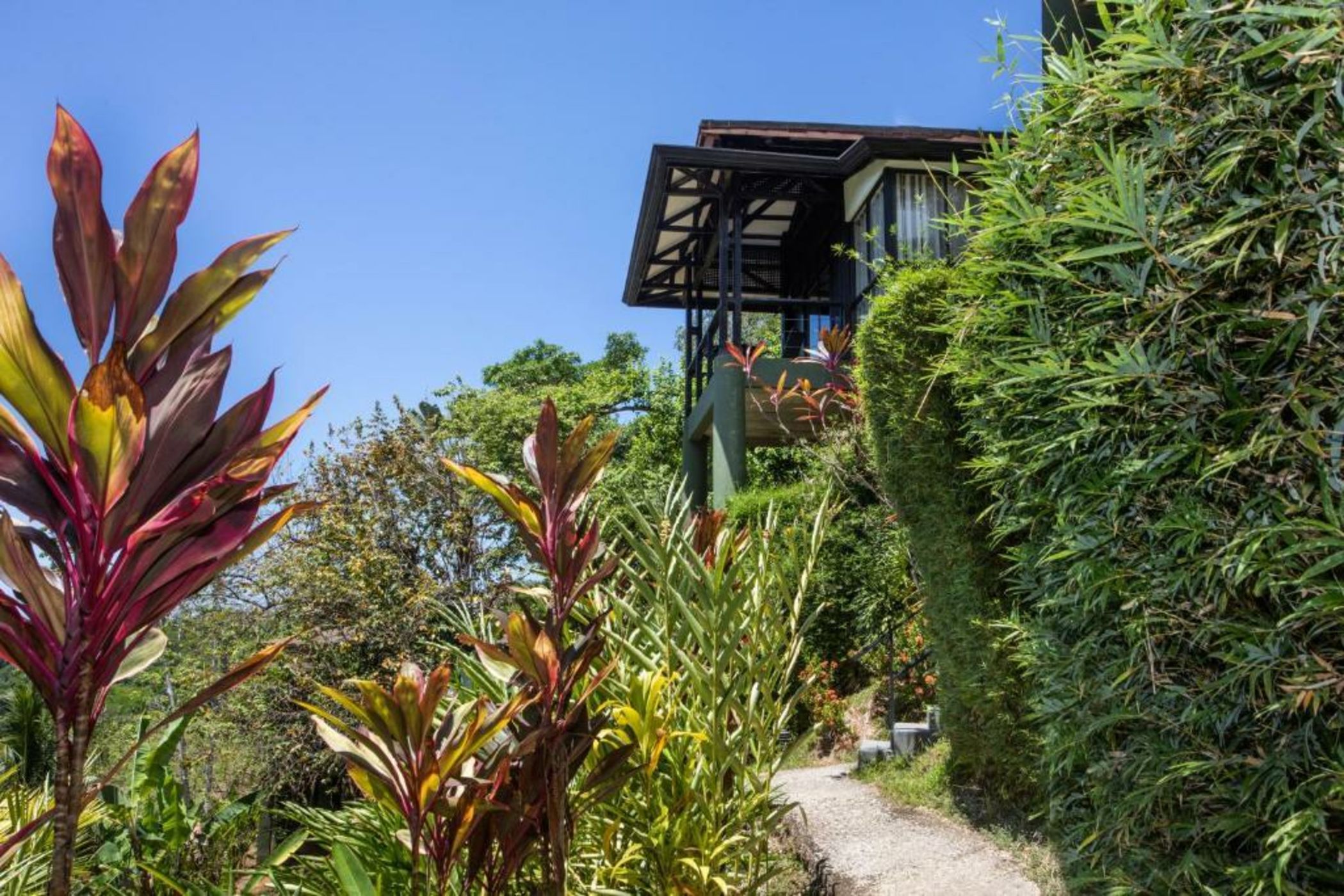 Tiki Villas Rainforest Lodge - Adults Only