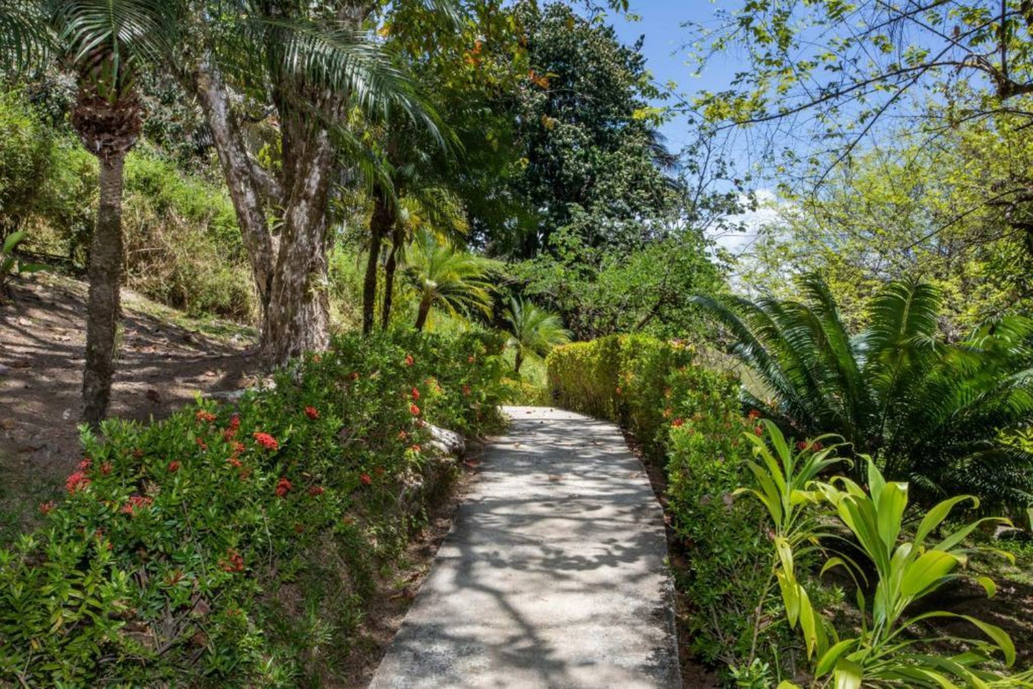 Tiki Villas Rainforest Lodge - Adults Only