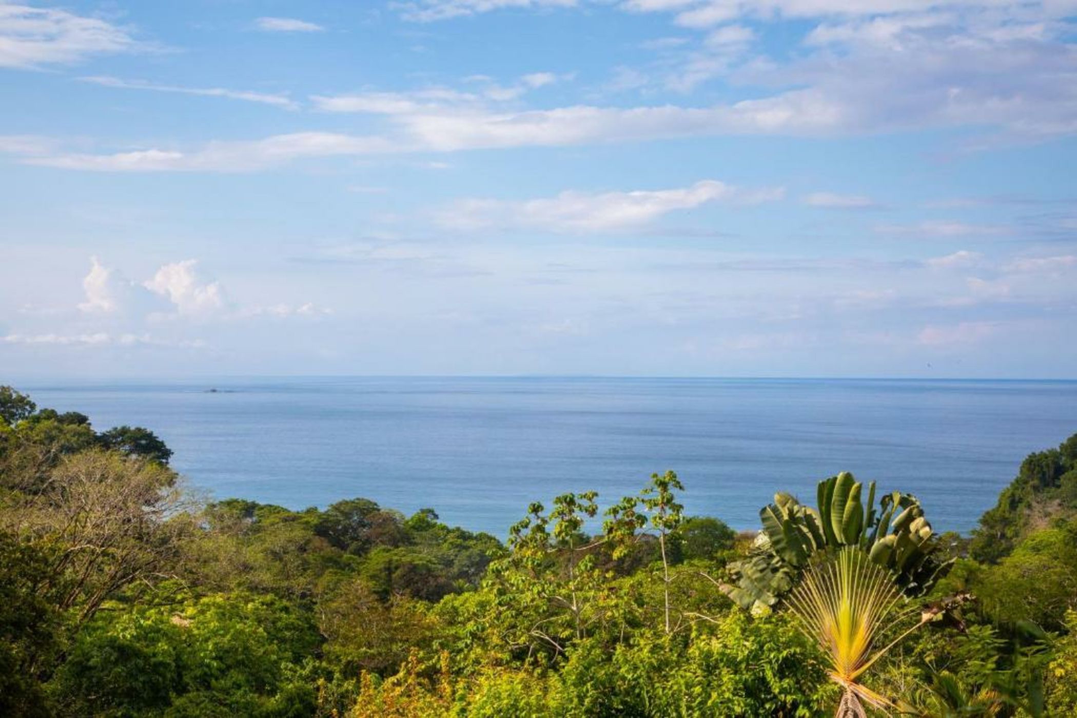 Tiki Villas Rainforest Lodge - Adults Only