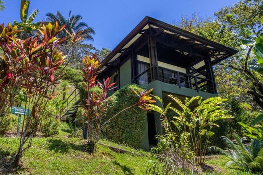 Tiki Villas Rainforest Lodge - Adults Only