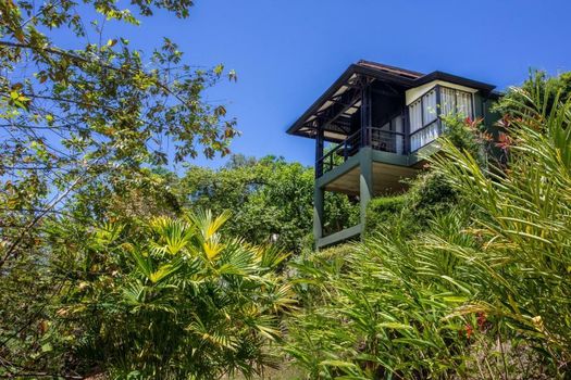 Tiki Villas Rainforest Lodge - Adults Only