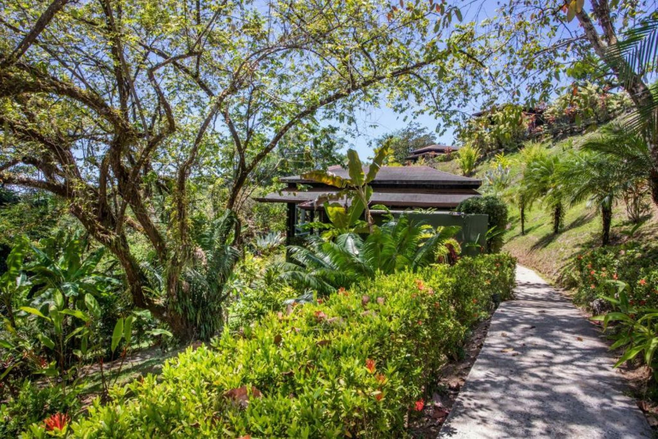 Tiki Villas Rainforest Lodge - Adults Only