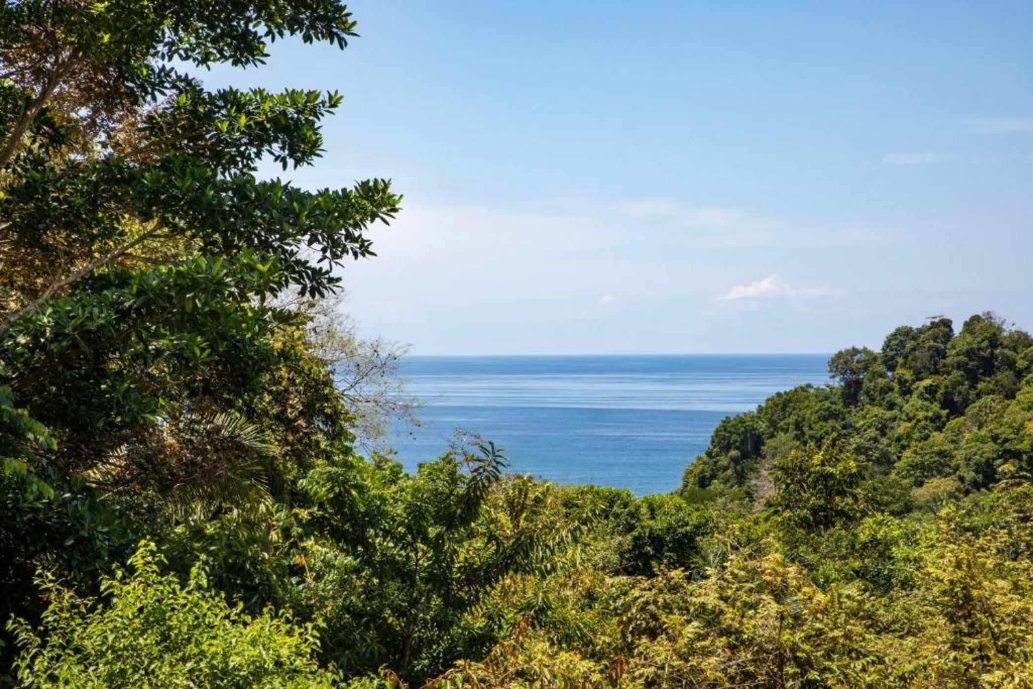 Tiki Villas Rainforest Lodge - Adults Only