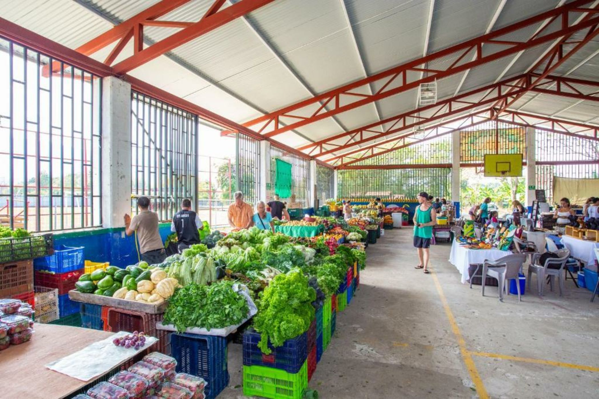 The Terraces at San Martin