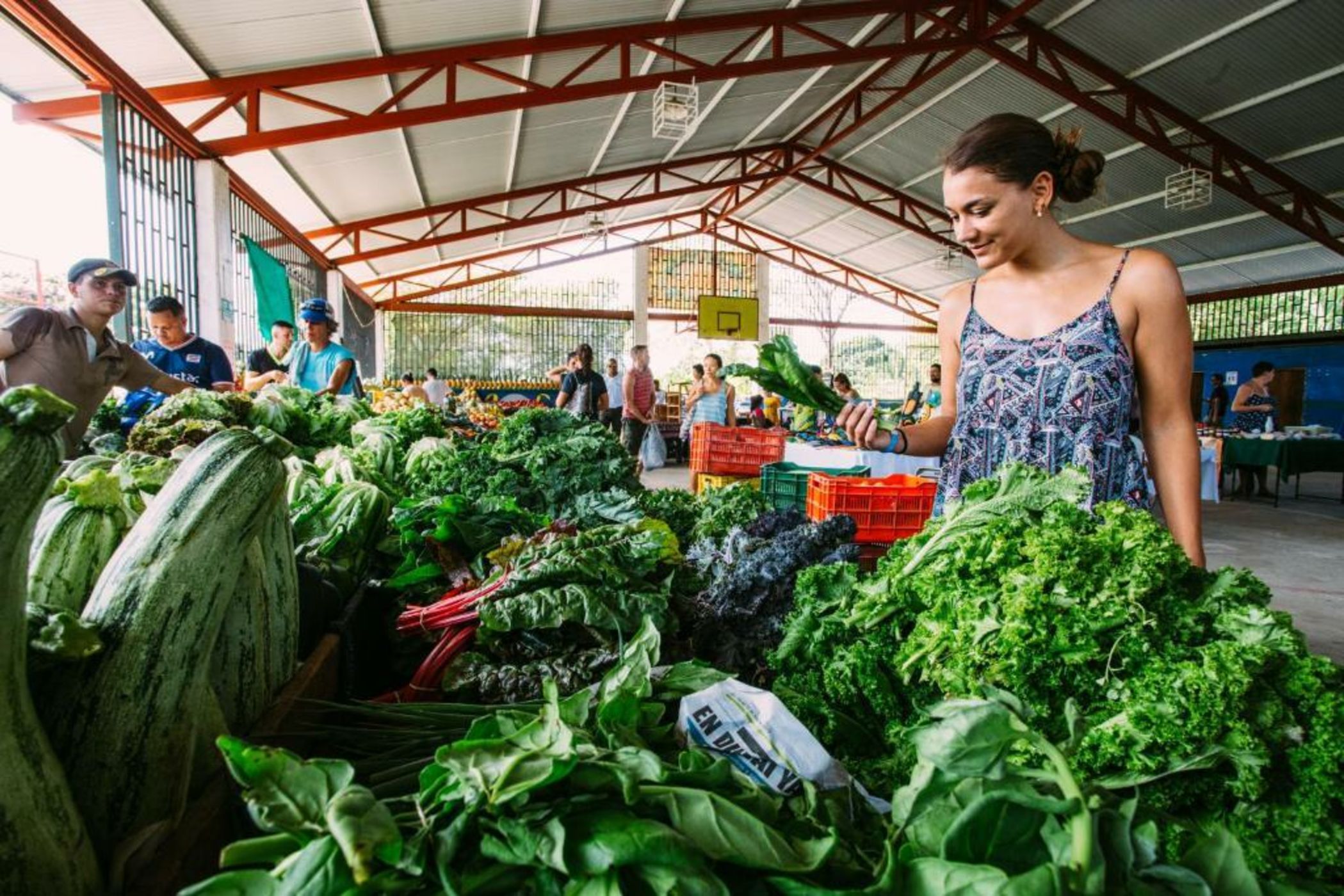 The Terraces at San Martin