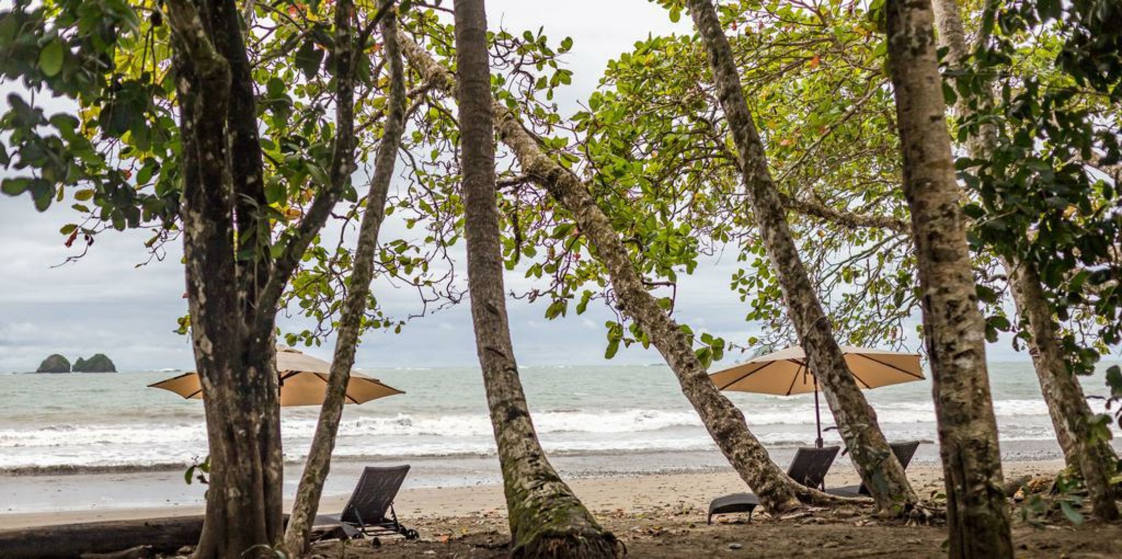 Elan at Ballena Beach