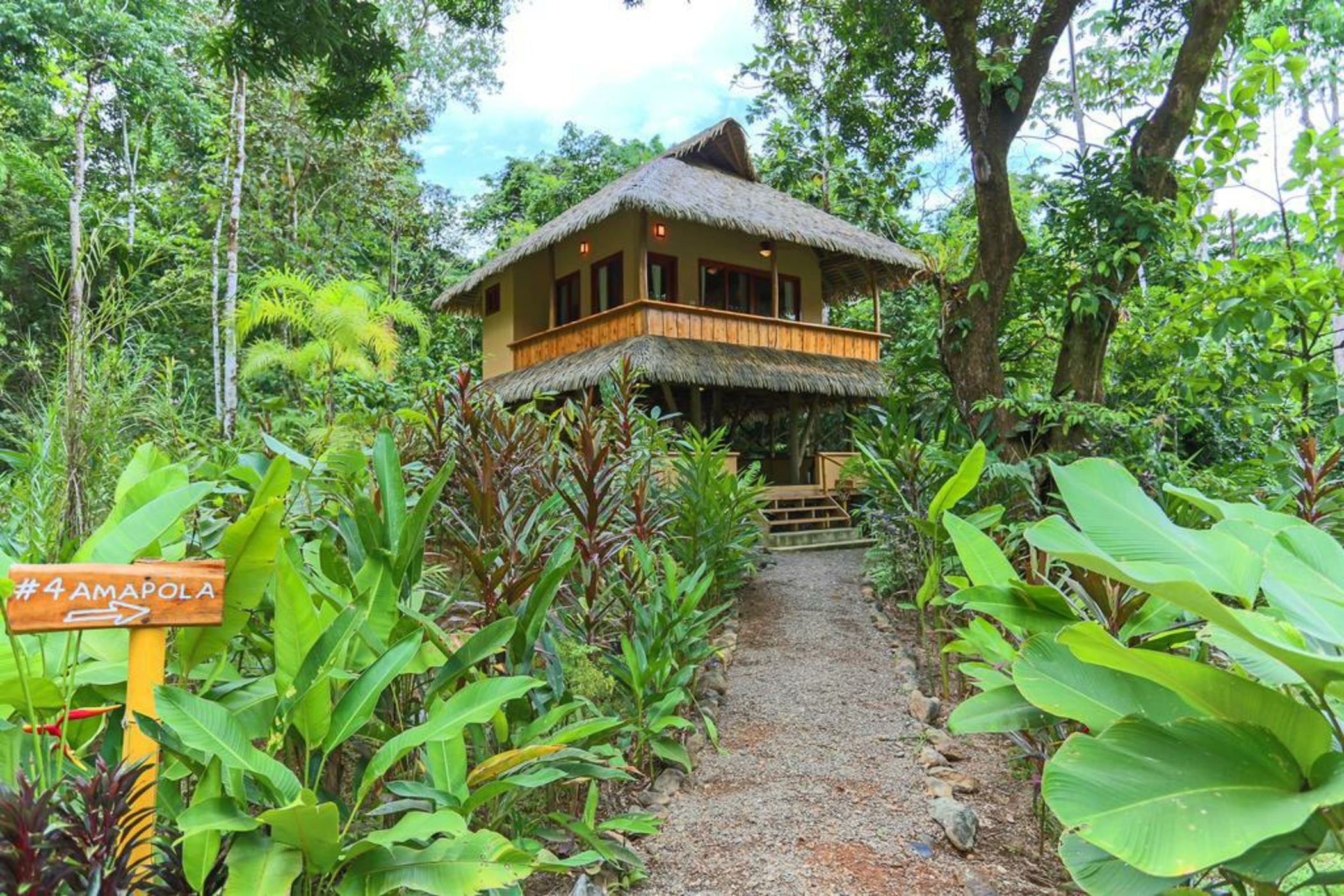 Copa De Arbol Beach & Rainforest Resort